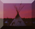 tipi's